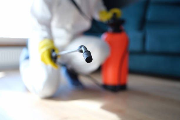 Best Mold Removal for HVAC Installations  in Bayfield, CO